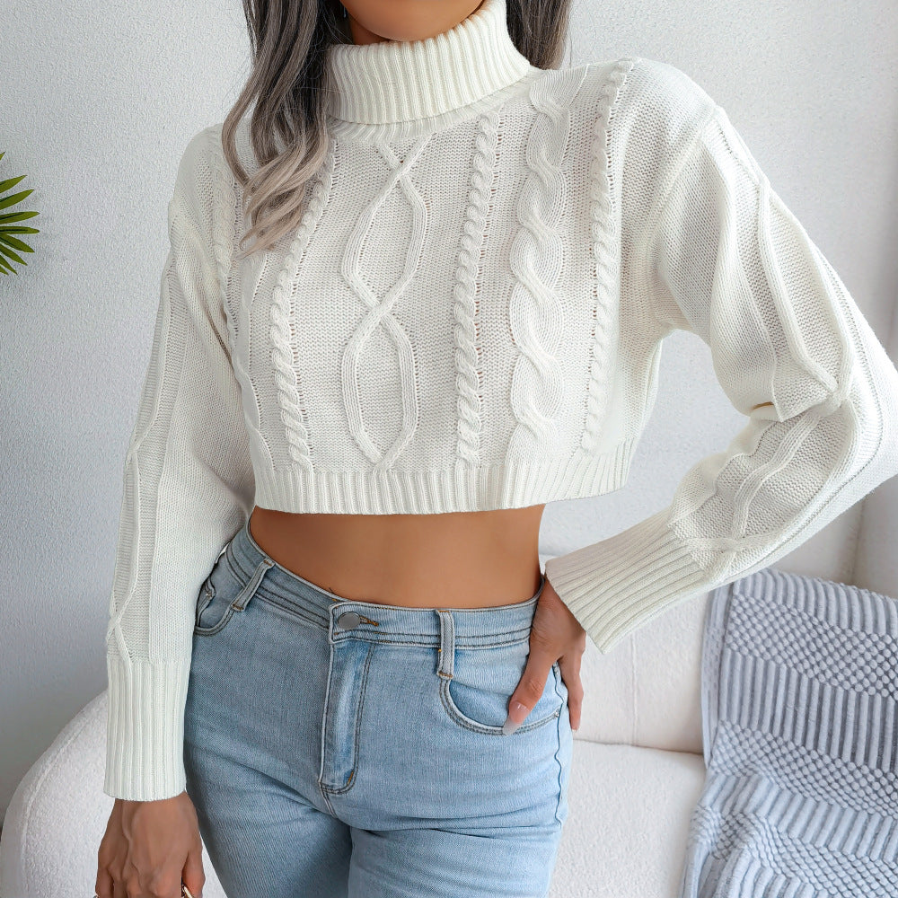 Mixed Knit Turtleneck Cropped Sweater Trendsi
